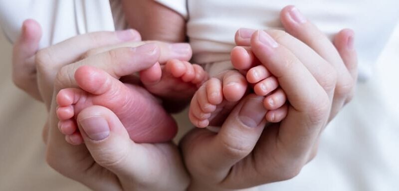 ¿Qué factores aumentan un embarazo múltiple en la subrogación? Infórmate si eres de Miami